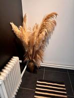 Pampa's met luxevaas, Huis en Inrichting, Woonaccessoires | Droogbloemen, Ophalen, Nieuw