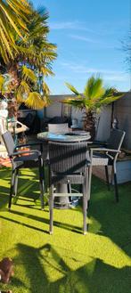 Party tafel met vier bijpassende stoelen in Wicker, Tuin en Terras, Tuinsets en Loungesets, Ophalen, Wicker