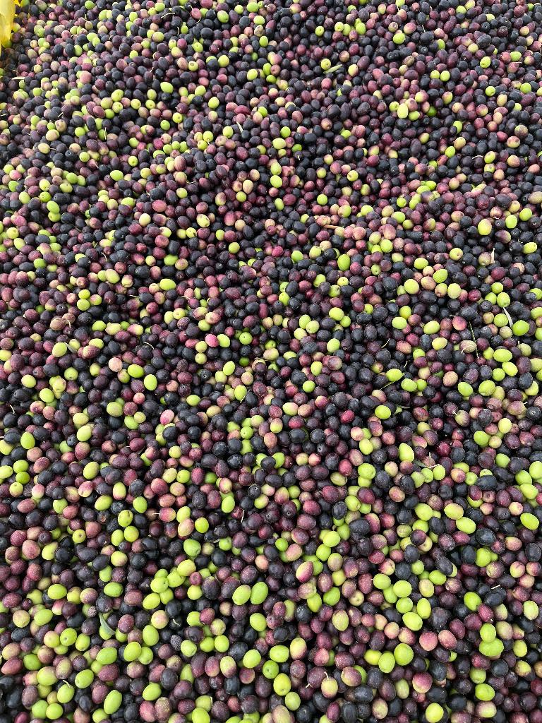 Huile d’olive, Enlèvement