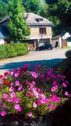 Dit mooie Ardense huis werd in de jaren 50 opgetrokken uit, Maison individuelle, 7 pièces, Province de Luxembourg, 200 à 500 m²