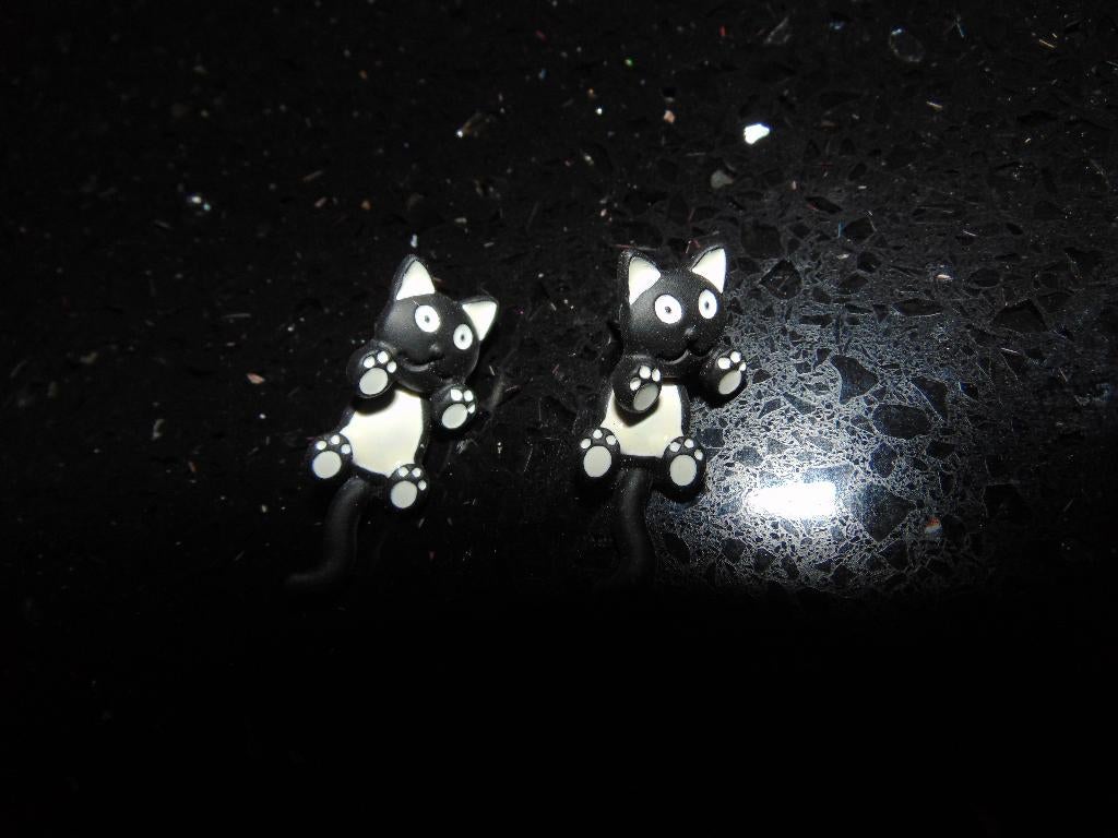 Oorbellen poes nieuw, Handtassen en Accessoires, Oorbellen, Ophalen of Verzenden, Nieuw, Zwart, Hangers