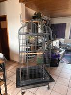 Grote papegaai kooi te koop, Dieren en Toebehoren, Ophalen, Zo goed als nieuw