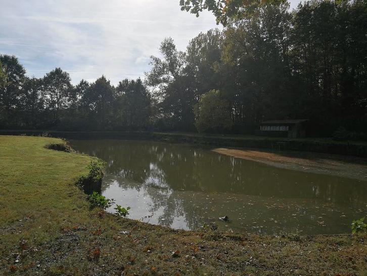 Vijver te koop, Immo, Terrains & Terrains à bâtir, 1500 m² ou plus, Ventes sans courtier