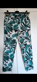 Mooie broek h&m 36, Kleding | Dames, Broeken en Pantalons, Ophalen of Verzenden