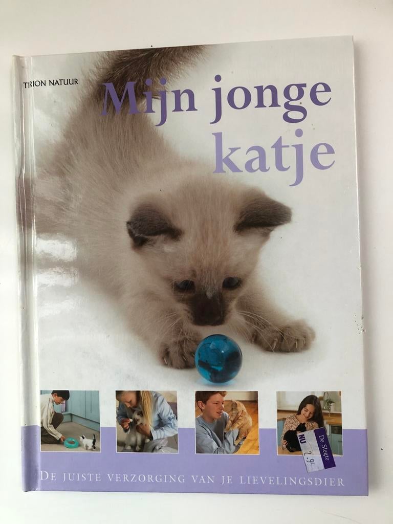 K. Dennis-Bryan - Mijn jonge katje, Livres, Animaux & Animaux domestiques, Enlèvement, Neuf, Chats