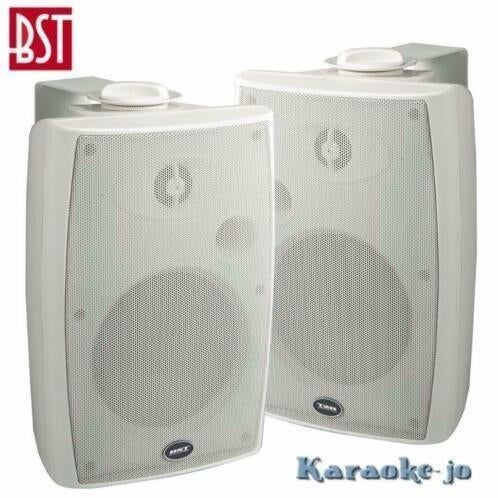 BST 370TW 100Volt Luidspreker set 2-weg 40 Watt, Audio, Tv en Foto, Luidsprekerboxen, Nieuw, Overige typen, Ophalen of Verzenden