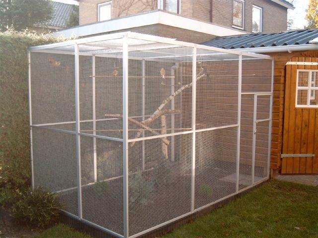 Nieuw vogel Vogeliere kattenren volledig in draad van 2 op3m, Dieren en Toebehoren, Vogels | Hokken en Kooien, Nieuw, Aluminium