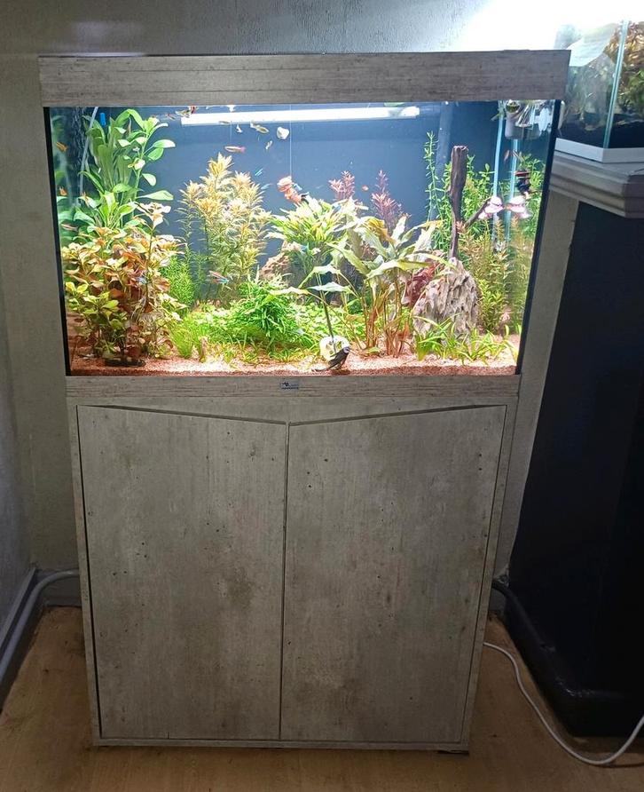 Aquatlantis aquarium,zie omschrijving, Dieren en Toebehoren, Vissen | Aquaria en Toebehoren, Zo goed als nieuw, Gevuld zoetwateraquarium