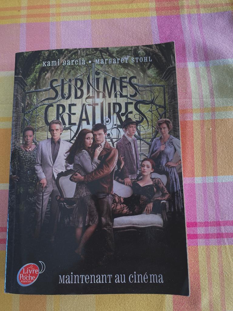 Diverse Franse leesboeken en strips, Ophalen of Verzenden, Zo goed als nieuw, Europa overig