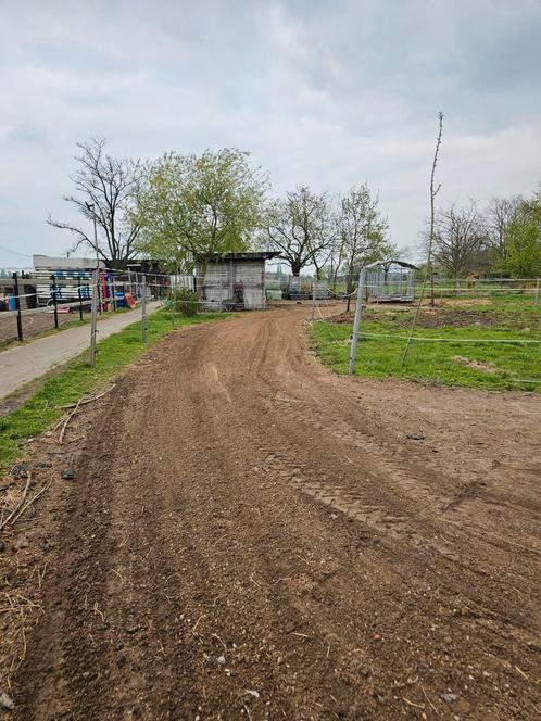 Volpension of half pension paddock paradise, Dieren en Toebehoren, Stalling en Weidegang, Stalling, Weidegang, 4 paarden of pony's of meer