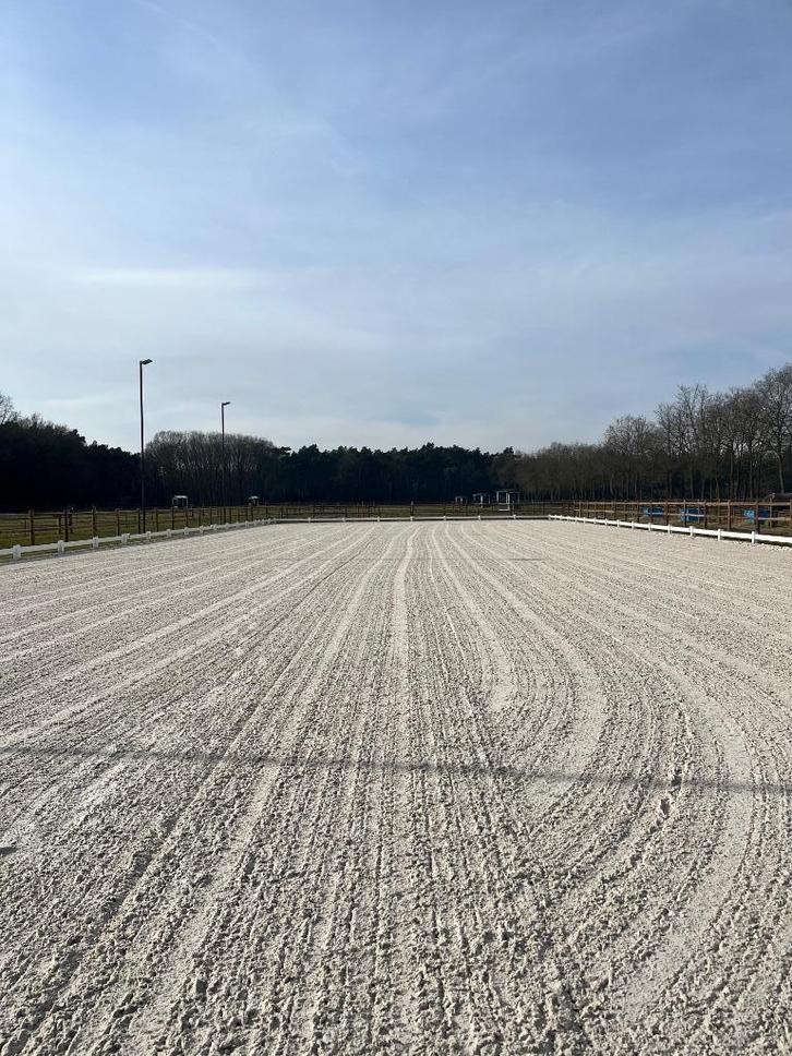 Pensionstal, Dieren en Toebehoren, Stalling en Weidegang, Stalling, 4 paarden of pony's of meer