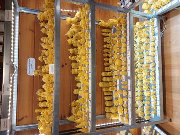 Bijenwas kaarsen handgemaakt  beschikbaar voor biedingen