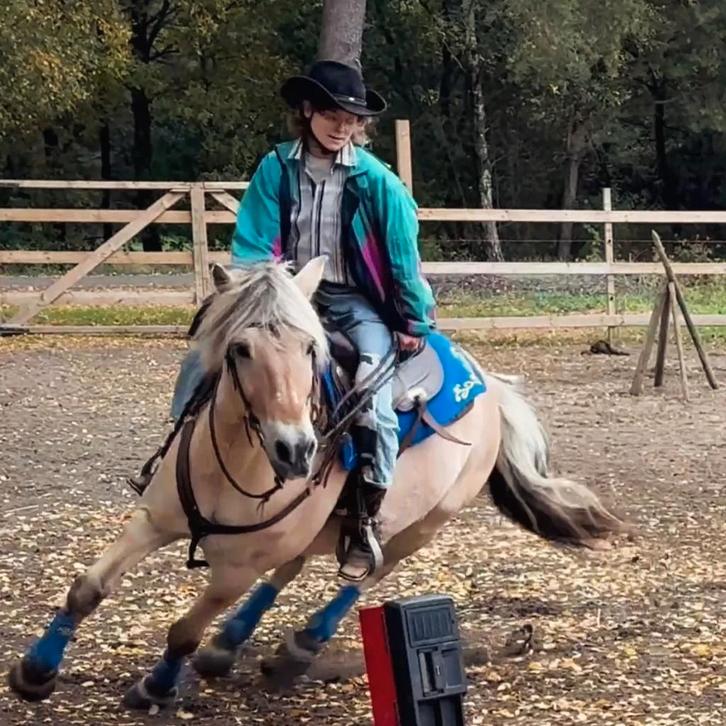 Halve stal aangeboden !, Dieren en Toebehoren, Pony's