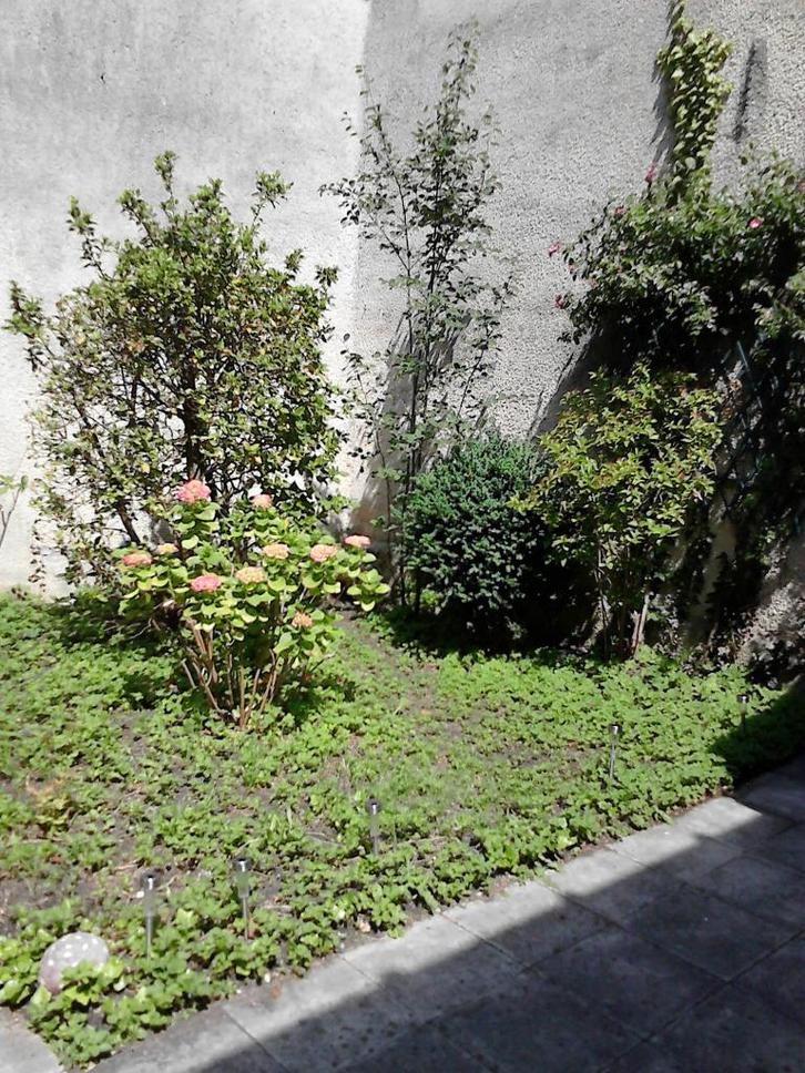 LEUKE DAME GEZOCHT, Contacten en Berichten, Man zoekt Vrouw