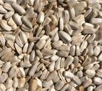 Witte zonnebloempitten 1kg ( NIEUWE OPENINGSTIJDEN ), Ophalen of Verzenden, Nieuw