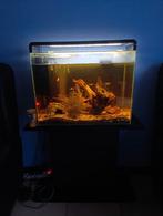 Aquarium, Enlèvement, Comme neuf, Aquarium vide