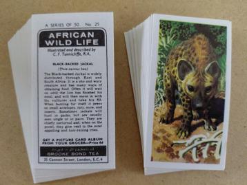 African Wildlife complete set 50 chromos black back 1973 beschikbaar voor biedingen