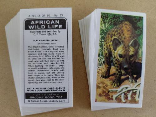 African Wildlife complete set 50 chromos black back 1973, Verzamelen, Foto's en Prenten, Dier, 1960 tot 1980, Ophalen of Verzenden