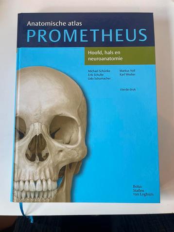 Anatomische atlas PROMOTHEUS - hoofd, hals en neuroanatomie beschikbaar voor biedingen