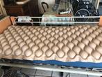 Matras tegen doirligwonden, Diversen, Ophalen