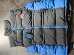 CLUB BRUGGE SPLINTERNIEUWE BODY WARMER, Kleding | Heren, Ophalen of Verzenden, Nieuw