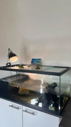 Aquarium voor schildpadden, Ophalen, Gebruikt, Overige typen