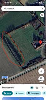 Knotwilgen te knotten in ruil voor snoeihout, Jardin & Terrasse, Bois de chauffage, 6 m³ ou plus, Enlèvement, Autres essences de bois