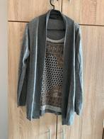 Grijze vest met shirt, maat L, Ophalen of Verzenden, Zo goed als nieuw, Maat 42/44 (L), Grijs
