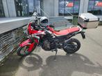 Africa Twin 1000/CRF1000L, 998 cm³, Particulier, 2 cylindres, Tourisme
