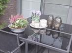 Tuin/terrastafel en stoelen, Tuin en Terras, Tuintafels, Ophalen, Zo goed als nieuw, Vierkant, Metaal