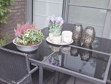 Tuin/terrastafel en stoelen beschikbaar voor biedingen