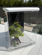 Superfish Home 8 Aquarium (met accessoires), Dieren en Toebehoren, Ophalen, Nieuw, Leeg aquarium