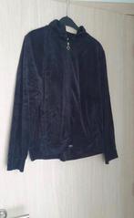 Fluweel trui met rits maat 40, Kleding | Dames, Ophalen of Verzenden, Zo goed als nieuw, Maat 38/40 (M), Zwart