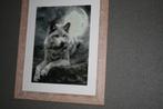 Diamond painting wolf met kader, Ophalen, Nieuw