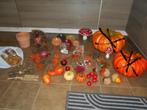 Mooi lot Halloween decoratie / Alles voor 40 €, Ophalen of Verzenden, Zo goed als nieuw