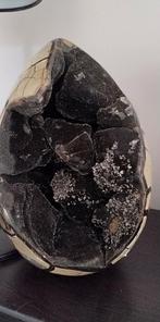 Septarium 5 kg, Enlèvement ou Envoi