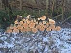 Gratis bomen vellen of opruim stormschade, Tuin en Terras, Ophalen of Verzenden