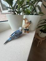 Tamme grasparkieten, Dieren en Toebehoren, Vogels | Parkieten en Papegaaien, Meerdere dieren, Parkiet, Tam