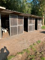3 geïsoleerde prefab paardenstallen, Dieren en Toebehoren, Stalling en Weidegang, Stalling, 2 of 3 paarden of pony's