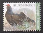 Belgique : COB 4305 ** Oiseaux 2013., Sans timbre, Neuf, Enlèvement ou Envoi, Non oblitéré