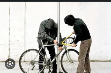 Attention Brompton A  ne pas acheter !!!, Enlèvement, Brompton