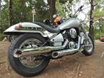 Kawasaki Vulcan 800, Particulier