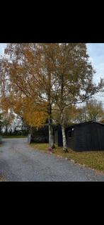 Bois, Enlèvement ou Envoi