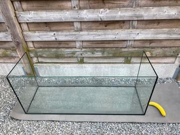 Aquarium 240l (120cm) met toebehoren beschikbaar voor biedingen