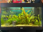 Juwel aquarium 120 L, Dieren en Toebehoren, Vissen | Aquaria en Toebehoren, Ophalen of Verzenden, Zo goed als nieuw, Gevuld zoetwateraquarium