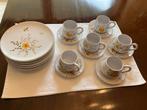 Fleurig koffieservies, Ophalen of Verzenden, Zo goed als nieuw, Aardewerk, Boerenbont