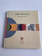 Kunstboek " César Manrique " Fundacion Lanzarote 1998, Boeken, Ophalen of Verzenden, Zo goed als nieuw, Fernando Ruiz Gordillo