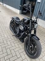1200 forty eight sportster, Particulier