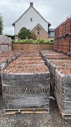 Bourgondische Tegelpan, Doe-het-zelf en Bouw, Ophalen of Verzenden, Zo goed als nieuw