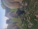 Suffolk ram, Dieren en Toebehoren